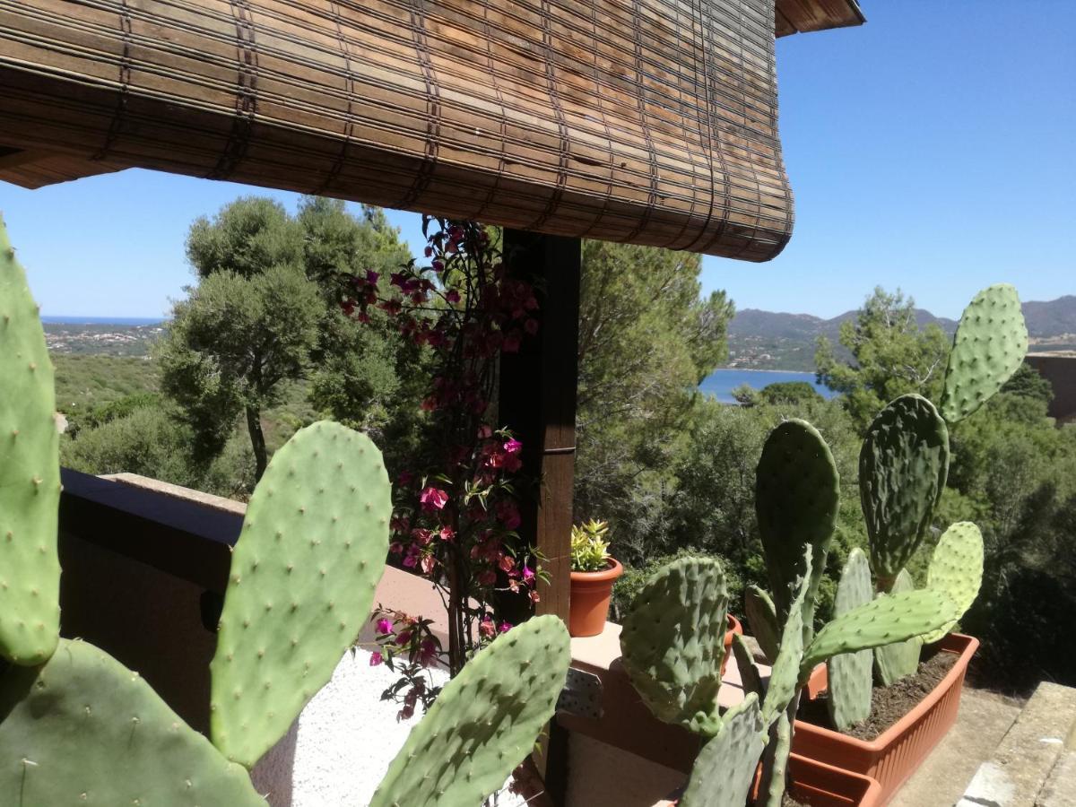 Apartamento Casa Luciana Cugnana Verde Exterior foto